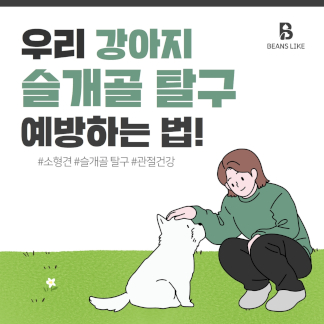 슬개골 탈구 예방 썸네일