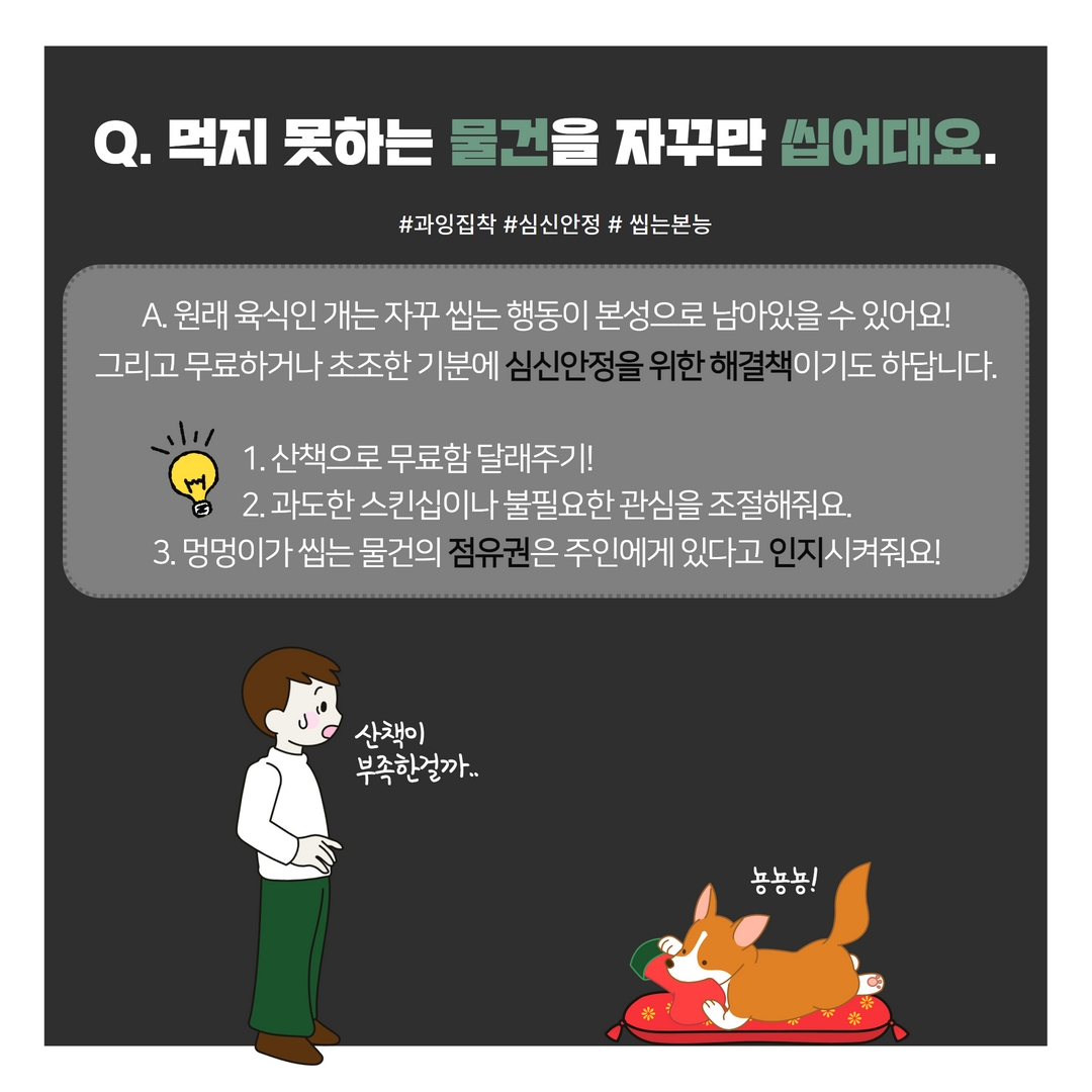 반려동물 행동 파헤치기