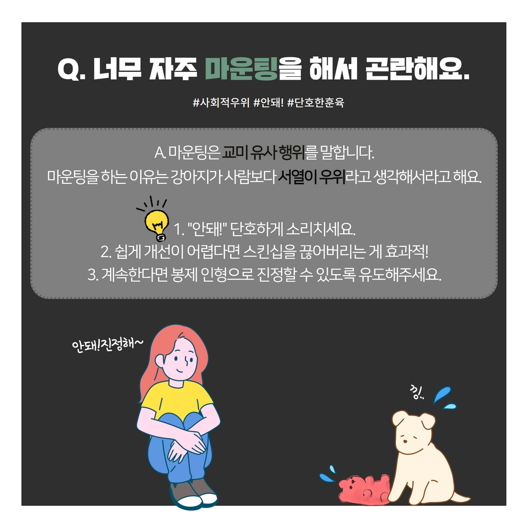 반려동물 행동 파헤치기