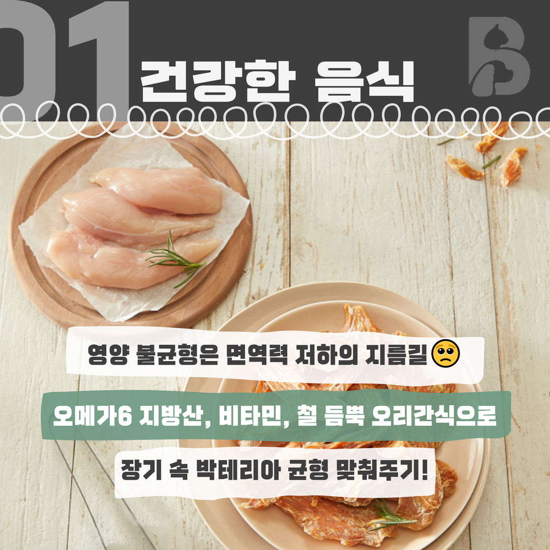 반려동물 면역