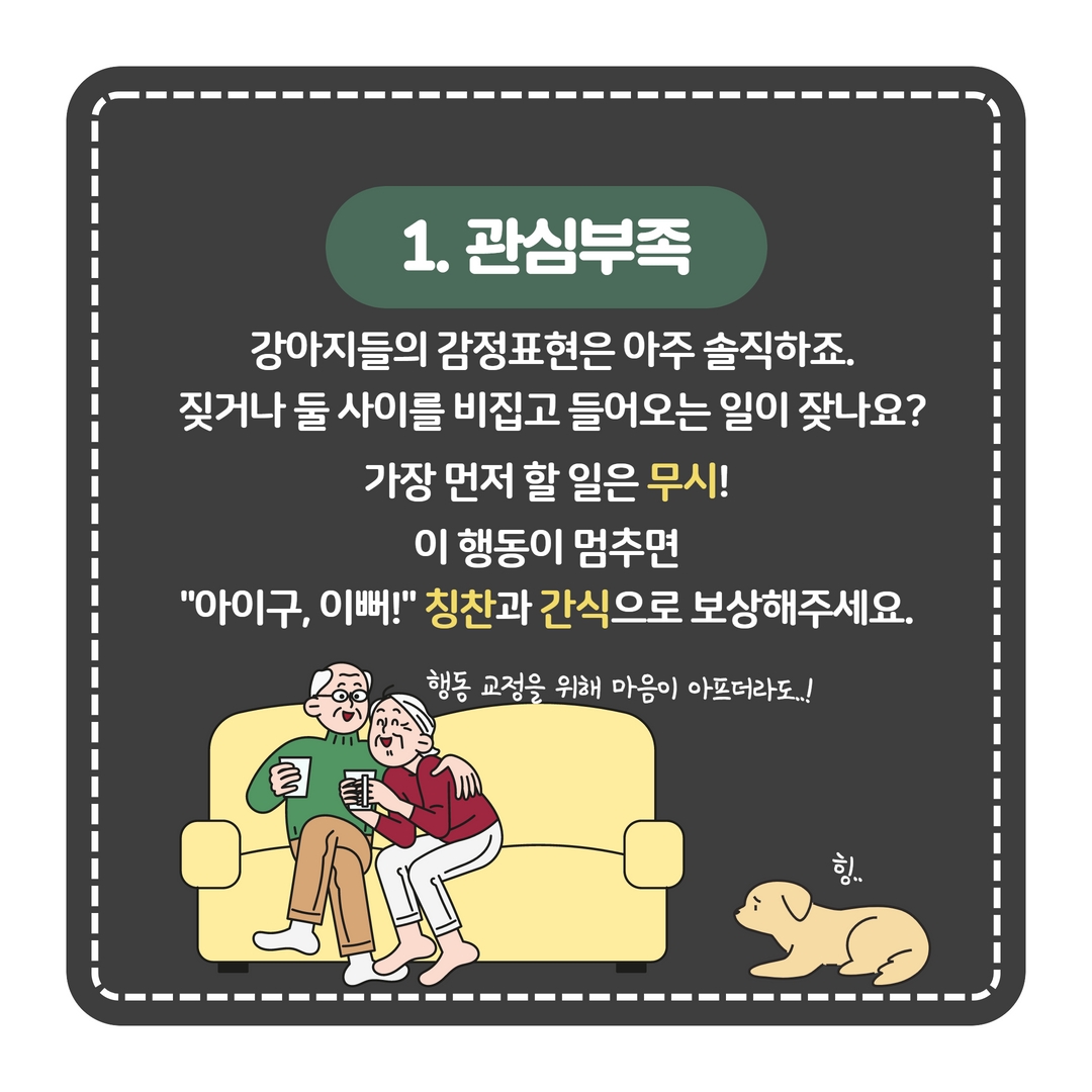 강아지 행동분석