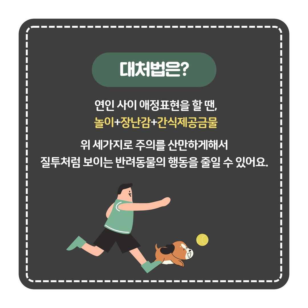 강아지 행동분석