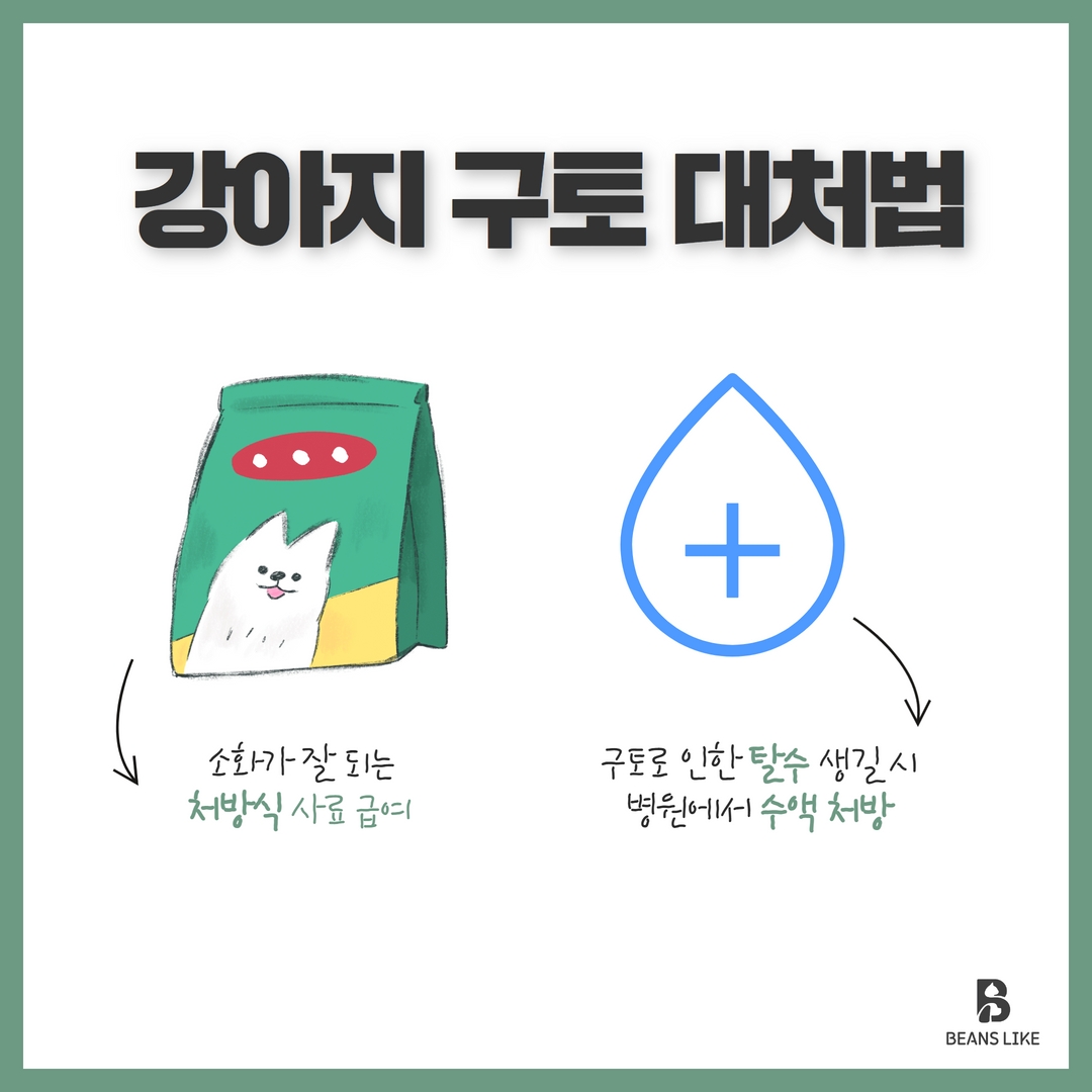 반려견 구토 원인과 해결