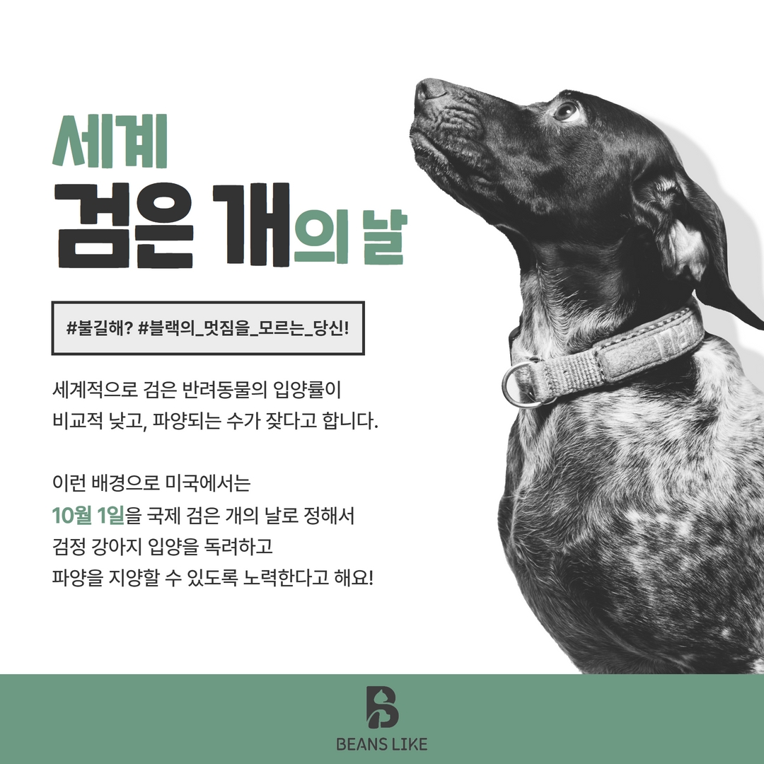 세계 강아지의 날