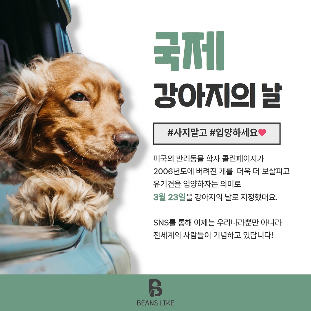 세계 강아지의 날